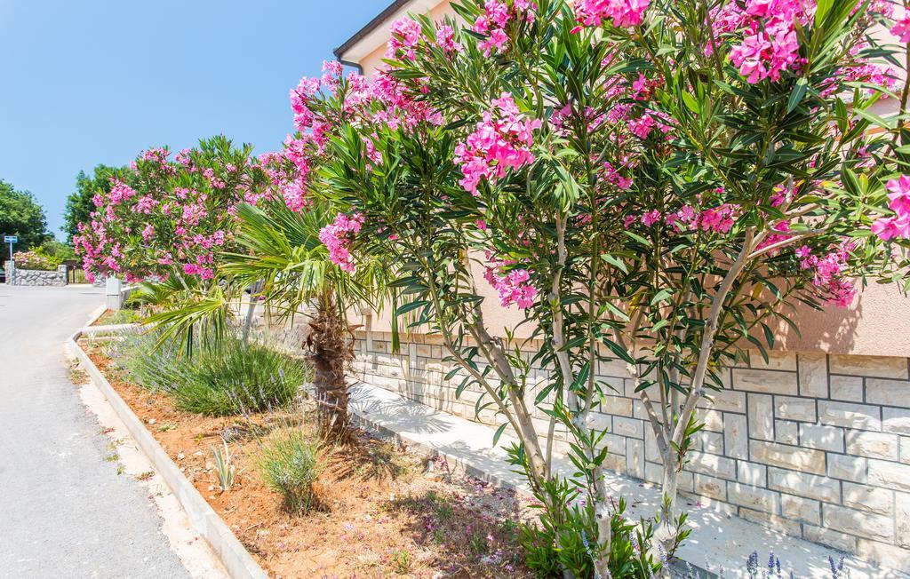 Apartmani Luka Kornić Exterior foto